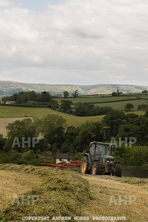 HOB_6223 copy