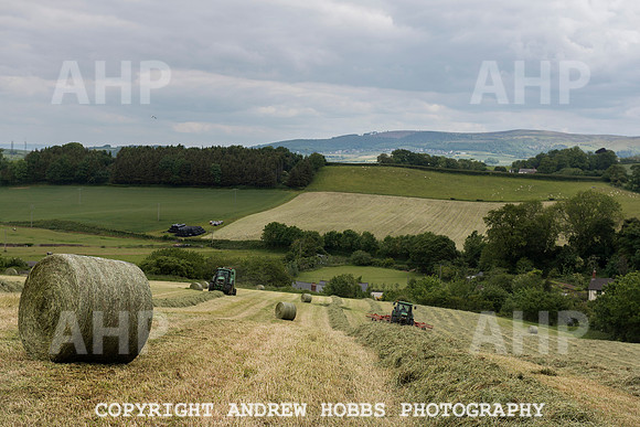 HOB_6250 copy