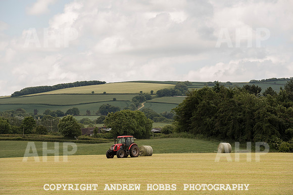 HOB_6149 copy