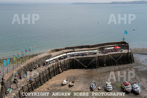 Clovelly Seaweed Festival 2015 001