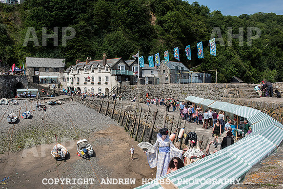 Clovelly Seaweed Festival 2015 005