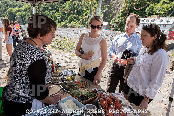 Clovelly Seaweed Festival 2015 006