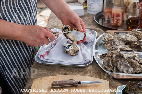 Clovelly Seaweed Festival 2015 007