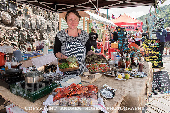 Clovelly Seaweed Festival 2015 008