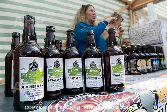 Clovelly Seaweed Festival 2015 012