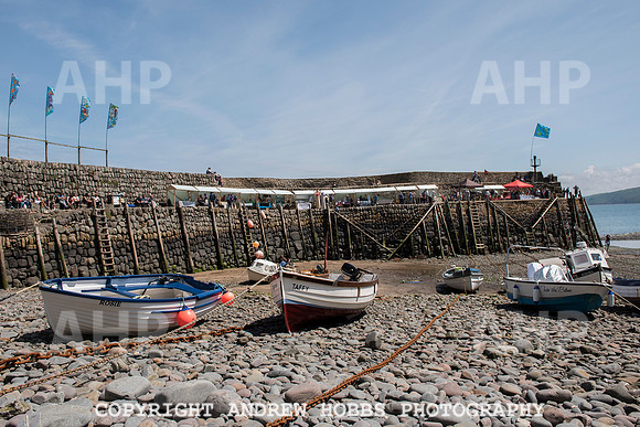 Clovelly Seaweed Festival 2015 015