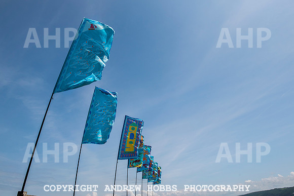 Clovelly Seaweed Festival 2015 016