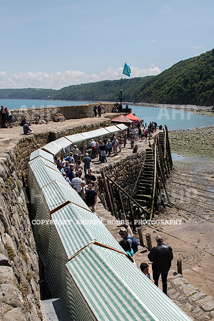 Clovelly Seaweed Festival 2015 018