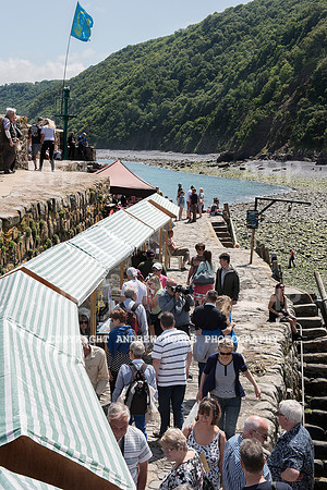 Clovelly Seaweed Festival 2015 019
