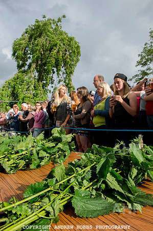 World Nettle Eating Championship 2015_8566