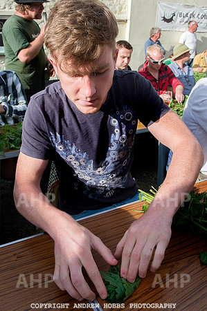 World Nettle Eating Championship 2015_8642