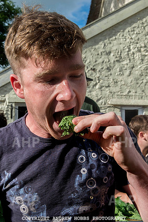 World Nettle Eating Championship 2015_8651