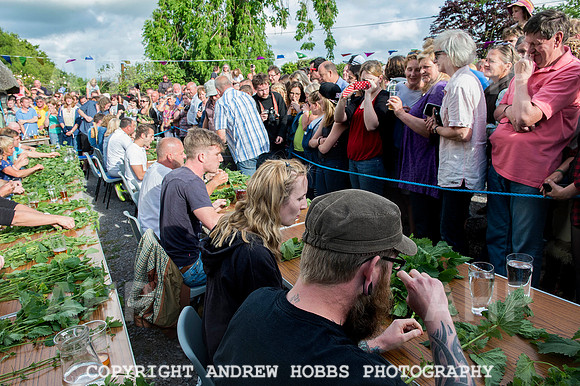 World Nettle Eating Championship 2015_8675
