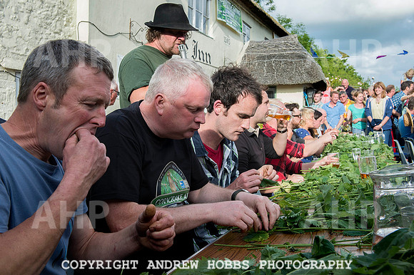World Nettle Eating Championship 2015_8677
