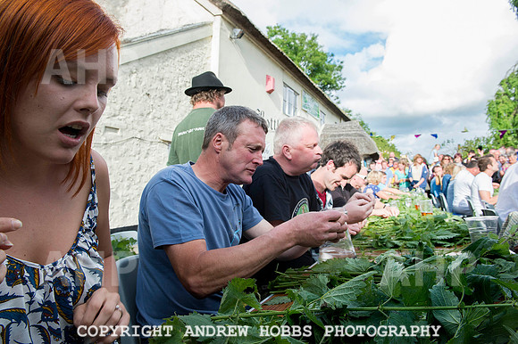 World Nettle Eating Championship 2015_8689