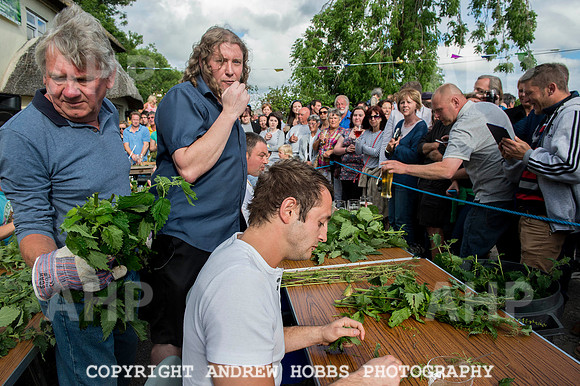 World Nettle Eating Championship 2015_8750