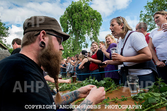 World Nettle Eating Championship 2015_8783