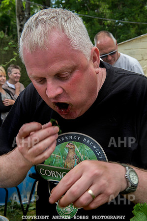 World Nettle Eating Championship 2015_9051