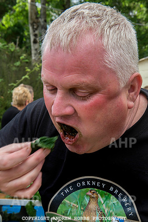 World Nettle Eating Championship 2015_9055
