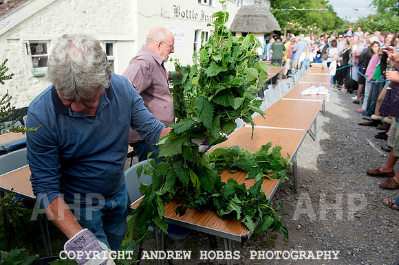 World Nettle Eating Championship 2015_8540