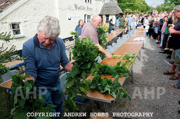 World Nettle Eating Championship 2015_8542