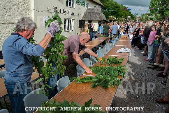 World Nettle Eating Championship 2015_8548