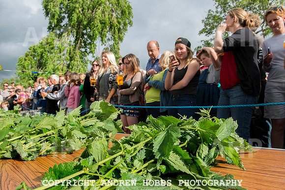 World Nettle Eating Championship 2015_8560