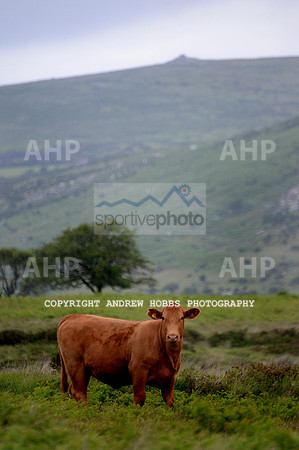 Dartmoor Classic Sportive 2015 089