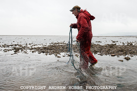 Stake-net Fishing Watchet 2014 006