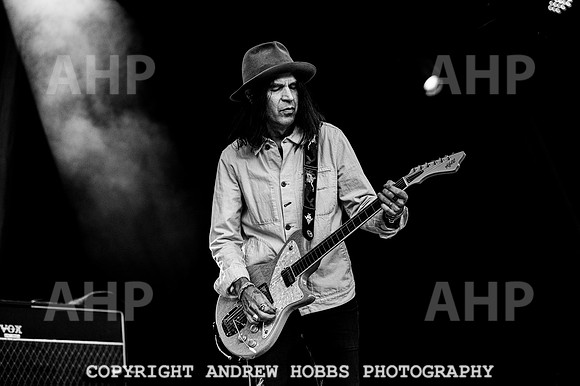 The Dandy Warhols - Beautiful Days 2022-5315
