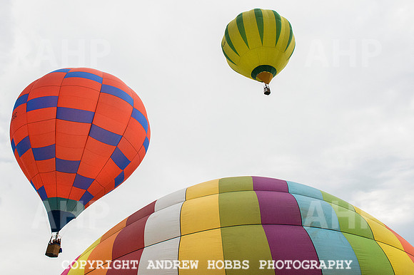 AHP_2089 copy