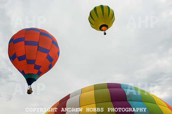 AHP_2091 copy