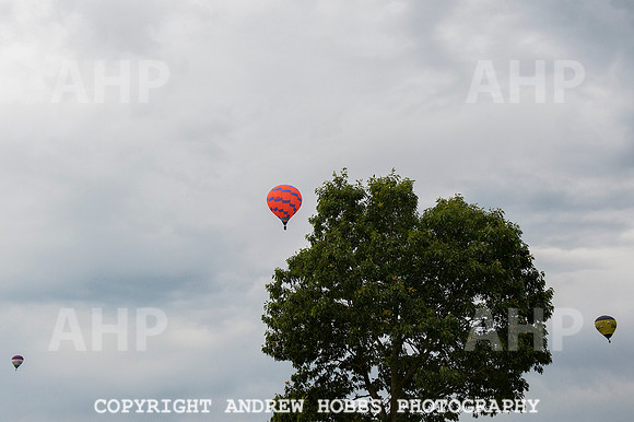 AHP_2101 copy
