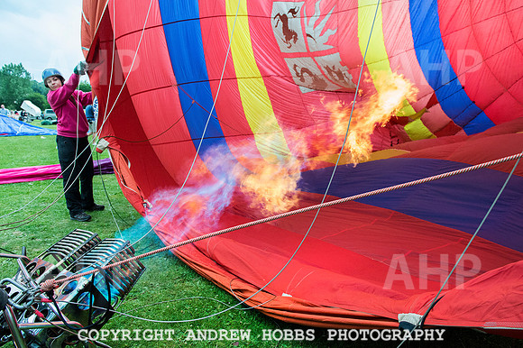 AHP_2105 copy