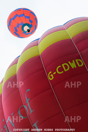 AHP_2116 copy