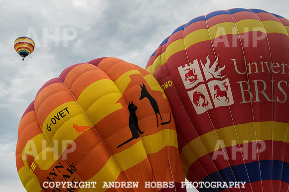AHP_2125 copy