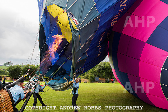 AHP_2129 copy