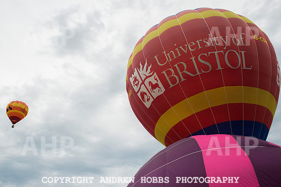 AHP_2133 copy