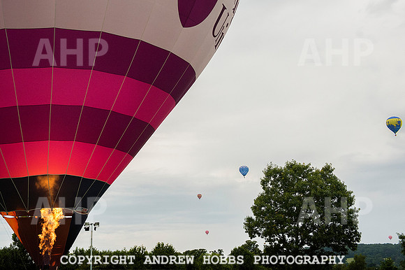 AHP_2164 copy