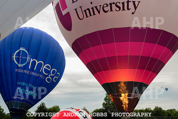 AHP_2168 copy