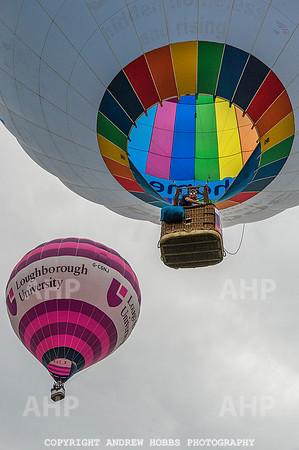 AHP_2185 copy