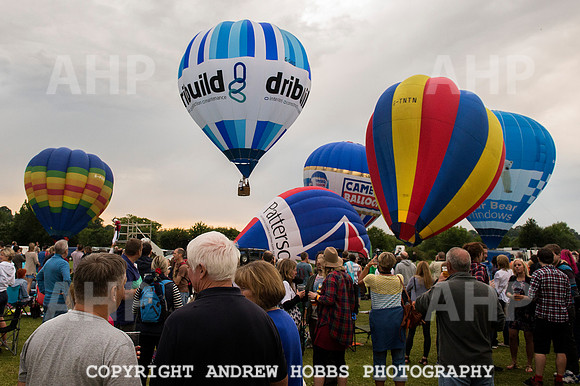 AHP_2262 copy
