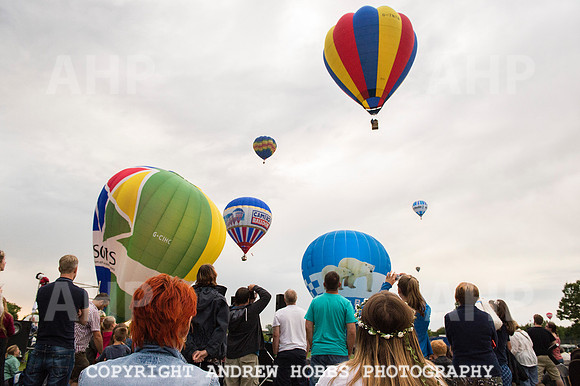 AHP_2268 copy
