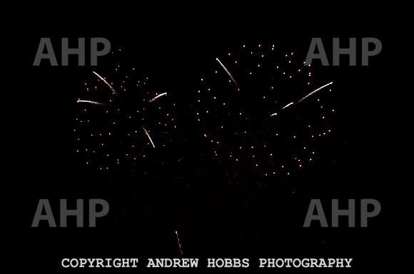 AHP_2607 copy