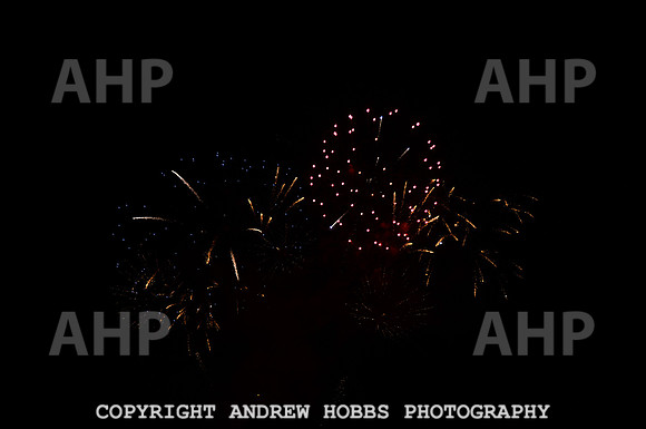 AHP_2629 copy