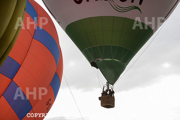 HOB_9065 copy