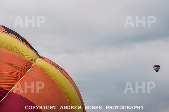 HOB_9075 copy