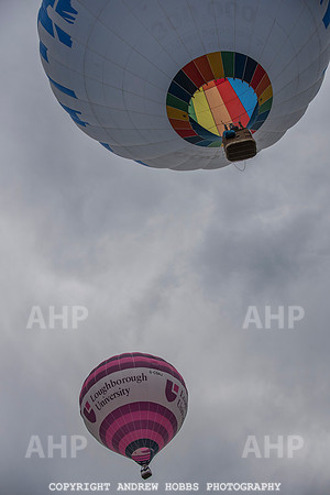 HOB_9097 copy