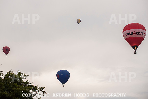 HOB_9114 copy