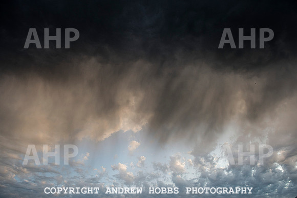 AHP_2341 copy